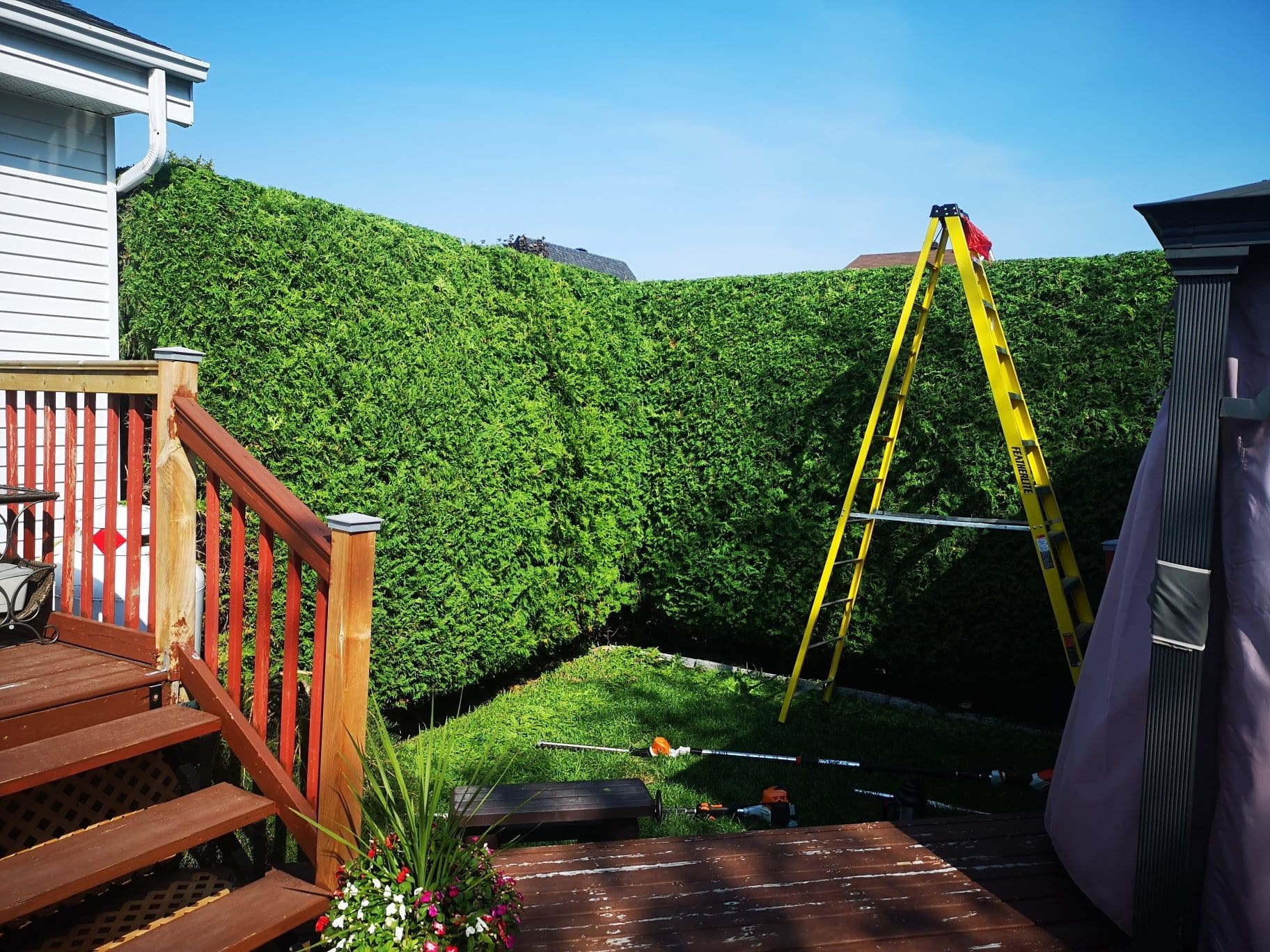 Taille de haies de cèdres Repentigny | Haie Due